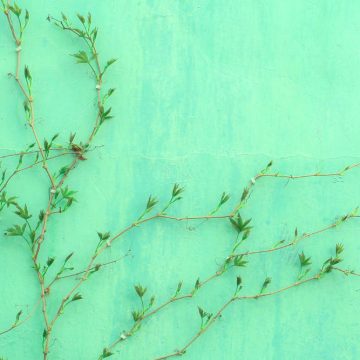 sostenibilidad-ods-genion-lab